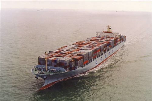 廣州倉(cāng)儲(chǔ)服務(wù) 現(xiàn)代化物流樞紐的核心支撐